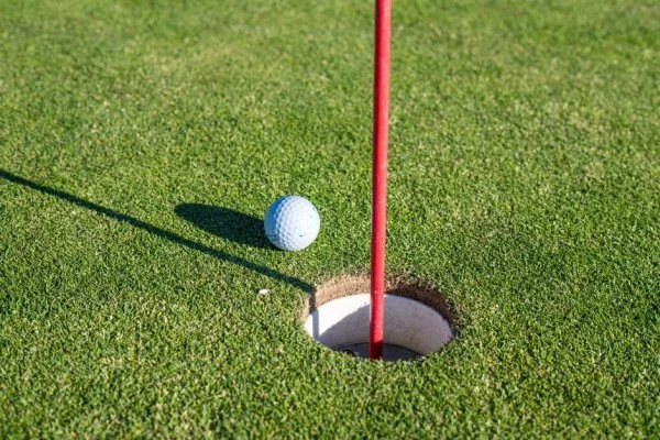 殷若宁LPGA波特兰精英赛夺冠 世界排名创新高体现中国高尔夫新力量